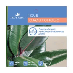 Caoutchouc : 3 Pieds Pot -Karch Jardin Magasin 28705 001