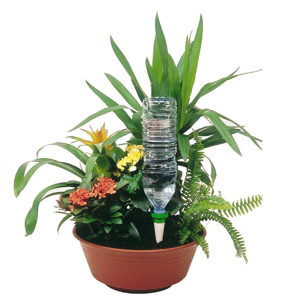 Cône D'Arrosage D'absence : Jardinière Violet - Pack 3+1 (gratuit) 3 Cône D'Arrosage D'absence : Jardinière Violet - Pack 3+1 (gratuit) – Image 3