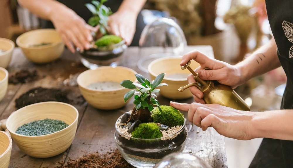 Plante D'intérieur - Zamioculcas Zamiifolia L 65cm 2 Plante D'intérieur - Zamioculcas Zamiifolia L 65cm – Image 2