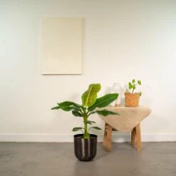 Karch Jardin Magasin -Karch Jardin Magasin 63e484af84d8f879