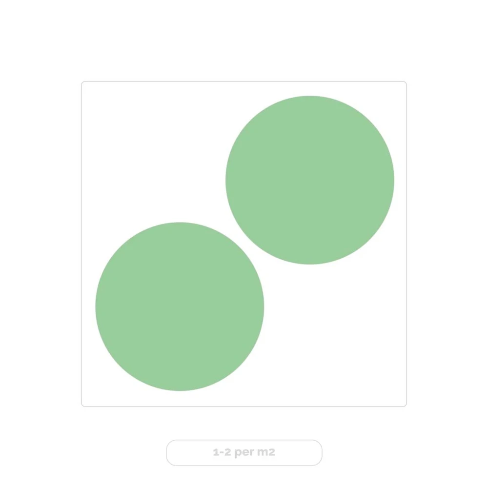 2x Eucalyptus Gunnii - Gommier - Arbuste - Persistant – ⌀17 Cm - ↕40-50 Cm 4 2x Eucalyptus Gunnii - Gommier - Arbuste - Persistant – ⌀17 Cm - ↕40-50 Cm – Image 4
