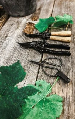 Sécateur - Basic -Karch Jardin Magasin 63fefc027e3da8.59429172