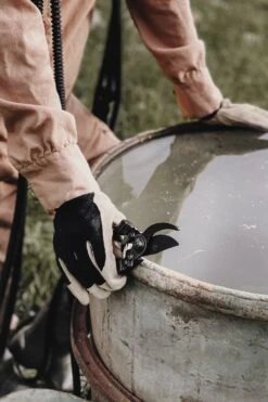 Sécateur - Basic -Karch Jardin Magasin 63fefc02850e81.51814800