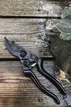 Sécateur - Basic -Karch Jardin Magasin 63fefc028cab62.62536057