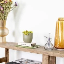 Dionaea Muscipula – Plante Carnivore – Peu D'entretien – ⌀12 Cm – ↕10-15 Cm -Karch Jardin Magasin 640b20a5e78e48.00125916