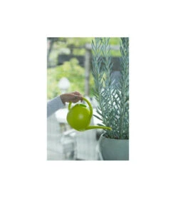 Nature Arrosoir - En Polyéthylene - Light Vert - 1,8 L 5 Nature Arrosoir - En Polyéthylene - Light Vert - 1,8 L -Karch Jardin Magasin 645d599955cc69.77932314