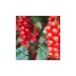Nature Filet Anti-oiseaux Primo 10x2m En Maille Tricotée Polyéthylene 12gr/m² Noir 5 Nature Filet Anti-oiseaux Primo 10x2m En Maille Tricotée Polyéthylene 12gr/m² Noir -Karch Jardin Magasin 64651f1f9933c2.31030440