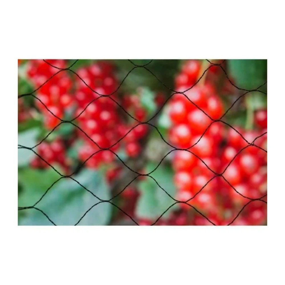 Nature Filet Anti-oiseaux Primo 10x2m En Maille Tricotée Polyéthylene 12gr/m² Noir 1 Nature Filet Anti-oiseaux Primo 10x2m En Maille Tricotée Polyéthylene 12gr/m² Noir