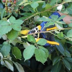 Sécateur De Contournement De Jardin Z-19 200 Mm -Karch Jardin Magasin 64798cc454e176.12107553