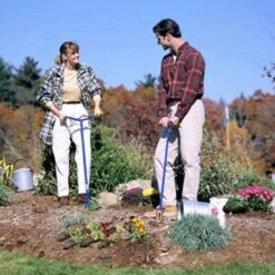 Mini Griffe Doré -Karch Jardin Magasin 6480d36cdb0728.04410384