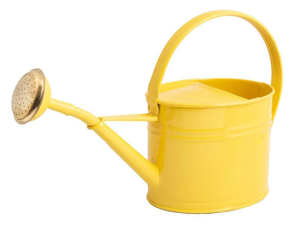 Arrosoir Galvanisé D’une Contenance De 1,75L Jaune 1 Arrosoir Galvanisé D’une Contenance De 1,75L Jaune
