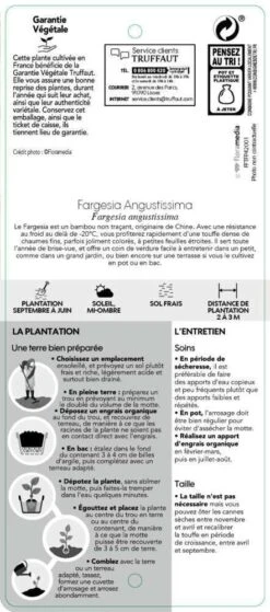 Bambou Non-traçant Fargesia Angustissima: Pot De 5 Litres -Karch Jardin Magasin 825296 007