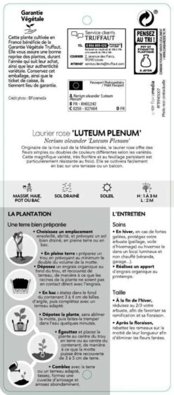 Nerium Oleander Luteum Plenum' Pot 5L 6 Nerium Oleander Luteum Plenum' Pot 5L -Karch Jardin Magasin 827684 003
