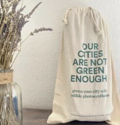 Kit Prêt à Planter - 3 Feuilles -Karch Jardin Magasin ea572adcd263b51f