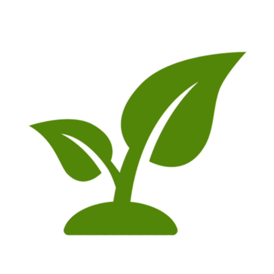 Karch Jardin Magasin