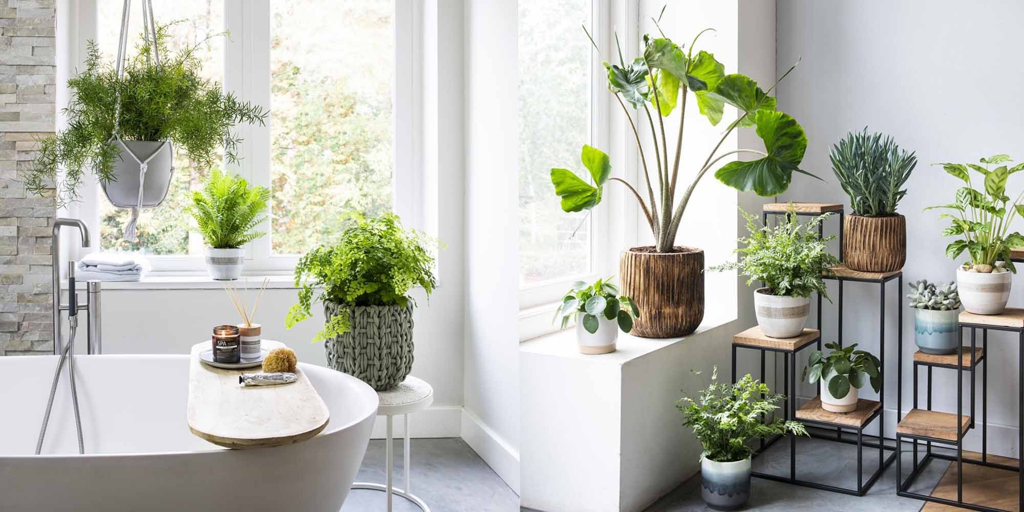 Karch Jardin Magasin -Karch Jardin Magasin groenste boekje intratuin voorja